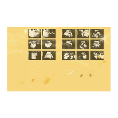 小寶貝,當我遇見你