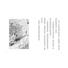 野貓軍團和大海怪