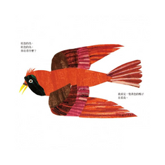 棕色的熊、棕色的熊,你在看什麼