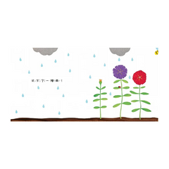 壓一壓、澆澆水,魔法種子!