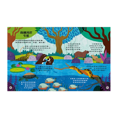 我的第一本雨林動物書