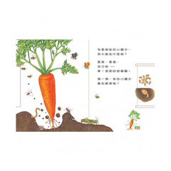 小種子,快長大 (蔬菜篇)