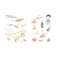 我養了一隻暴龍!