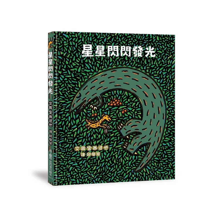 星星閃閃發光
