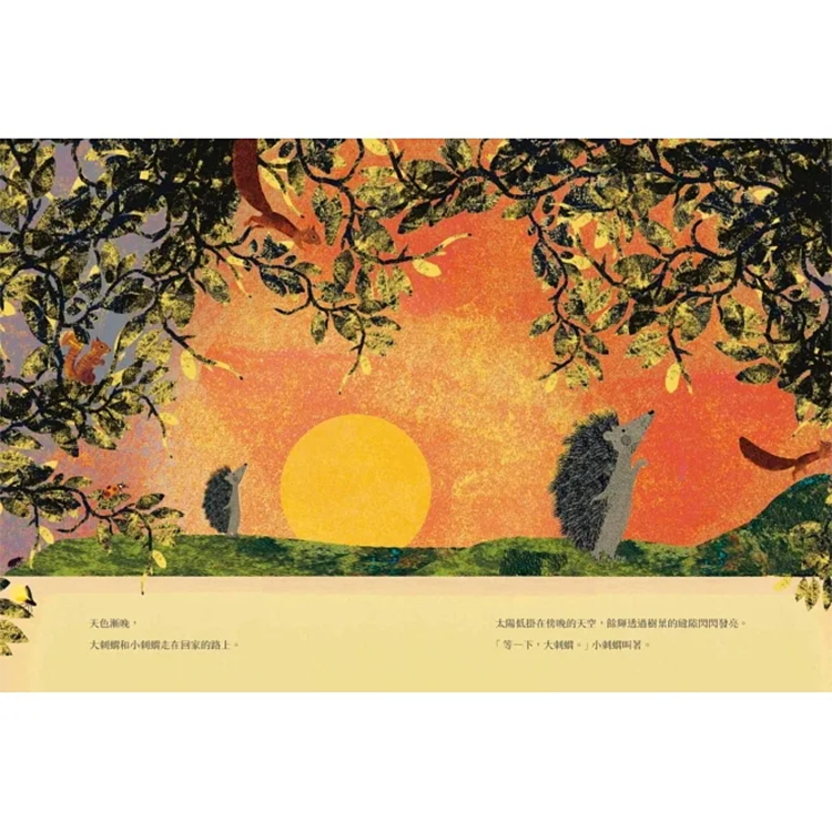 大刺蝟與小刺蝟系列套書