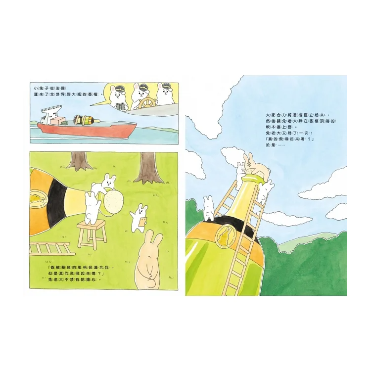 好想飛的兔老大