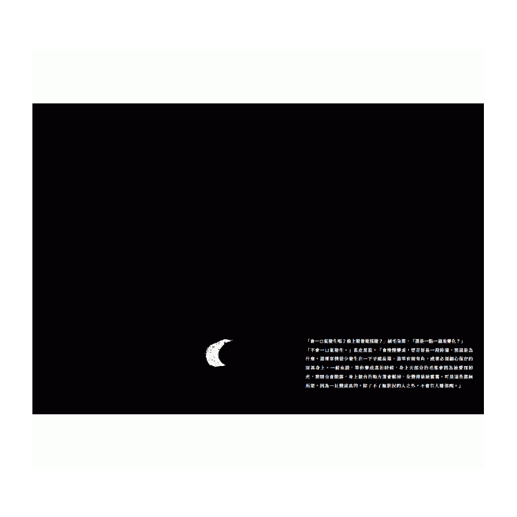 The Velveteen Rabbit 絨毛兔