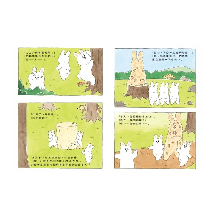 好想飛的兔老大