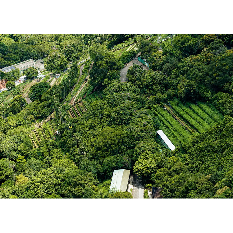 Being Hong Kong 就係香港「2023年秋」