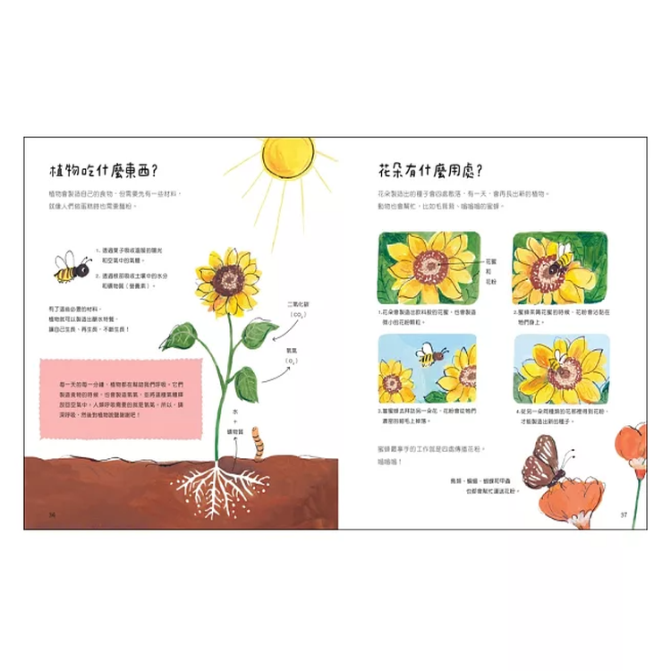 地球大書：關於地球，有問必答