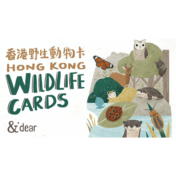 香港野生動物卡 Hong Kong Wildlife Cards