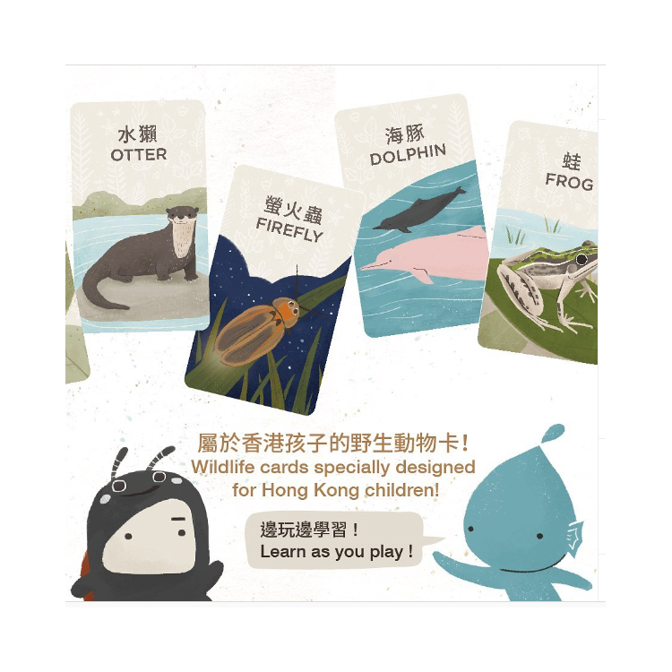 香港野生動物卡 Hong Kong Wildlife Cards