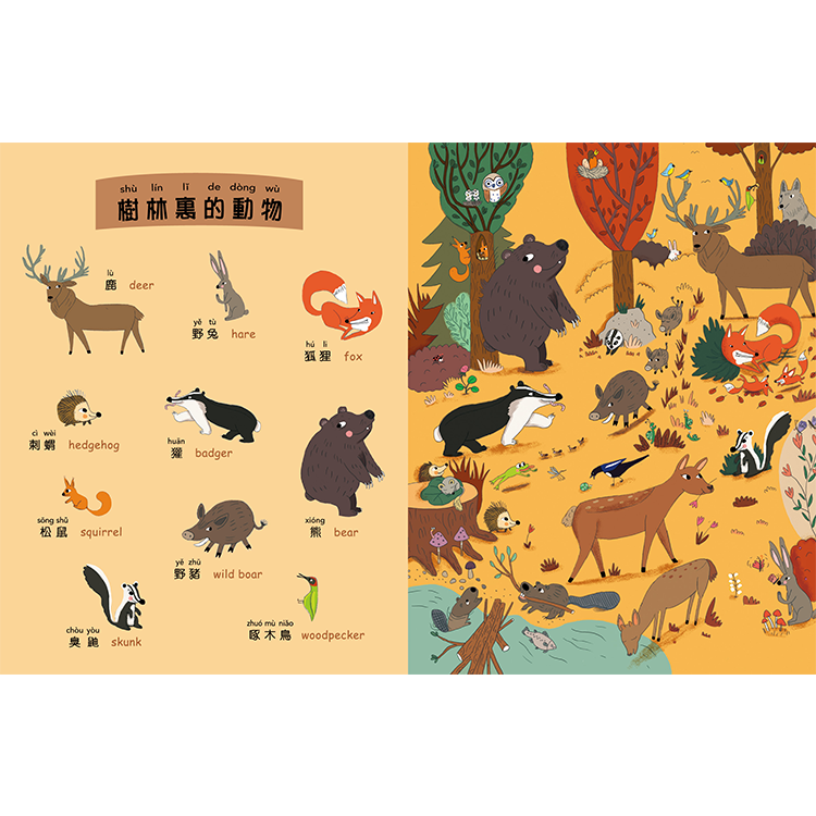 找找看：動物小辭典