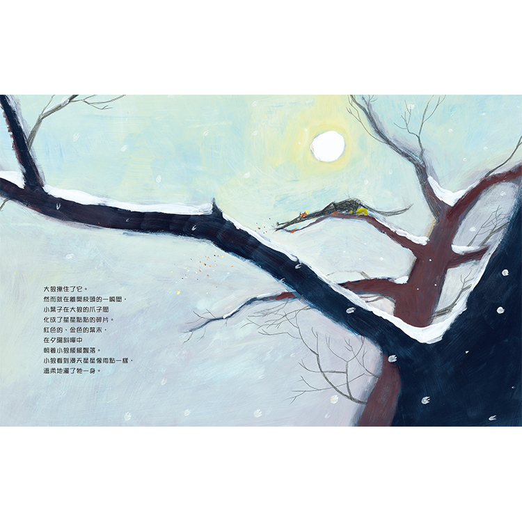 葉子沒有落下來