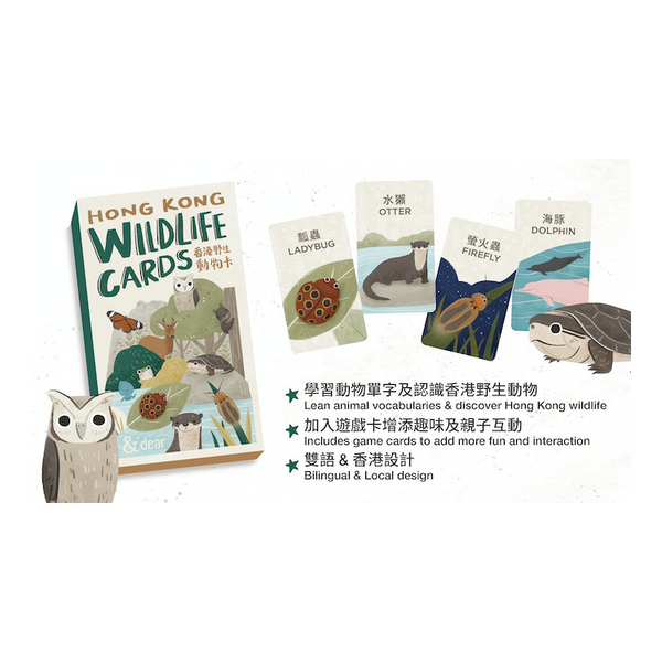 香港野生動物卡 Hong Kong Wildlife Cards