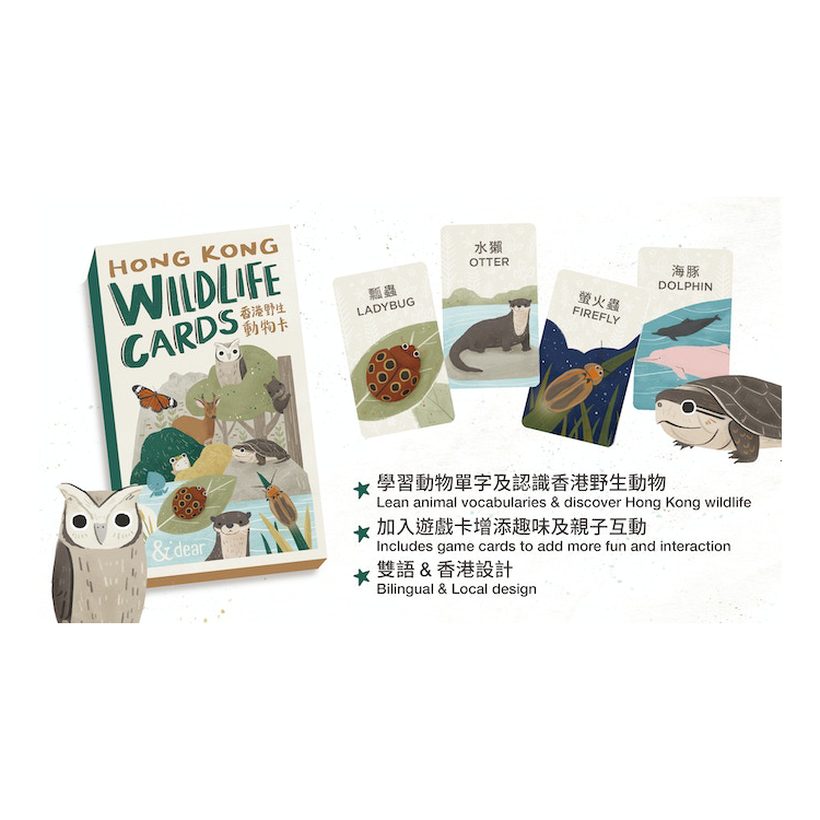 香港野生動物卡 Hong Kong Wildlife Cards