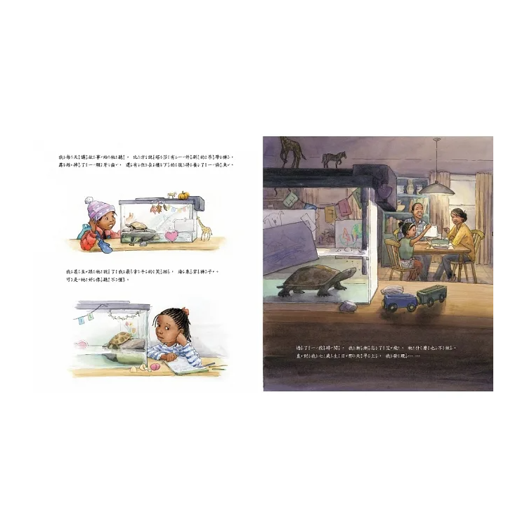 艾飛不見了
