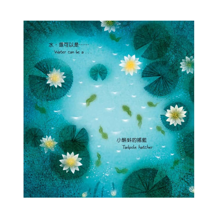 水，還可以是……(中英對照)