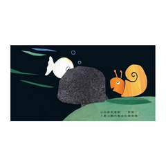 小白魚玩躲貓貓