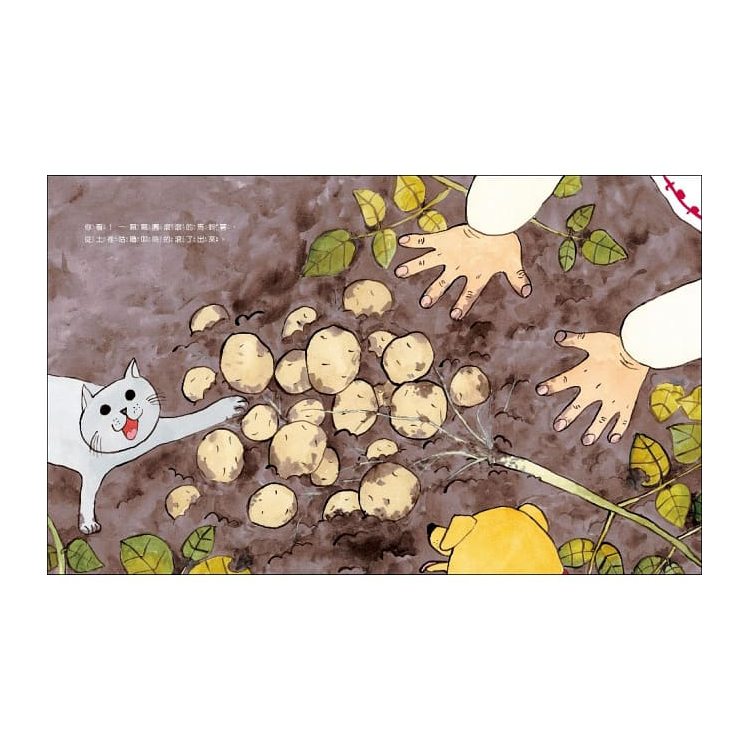 馬鈴薯村的可樂餅慶典