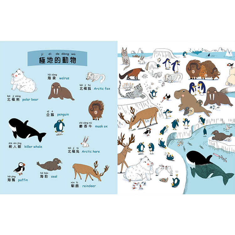 找找看：動物小辭典