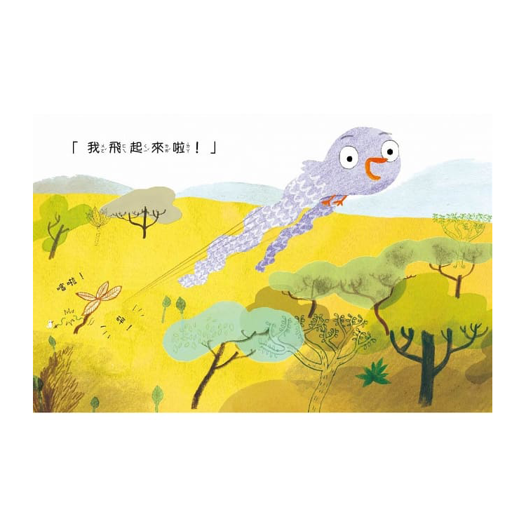 飛不起來的我，能做特別的事！