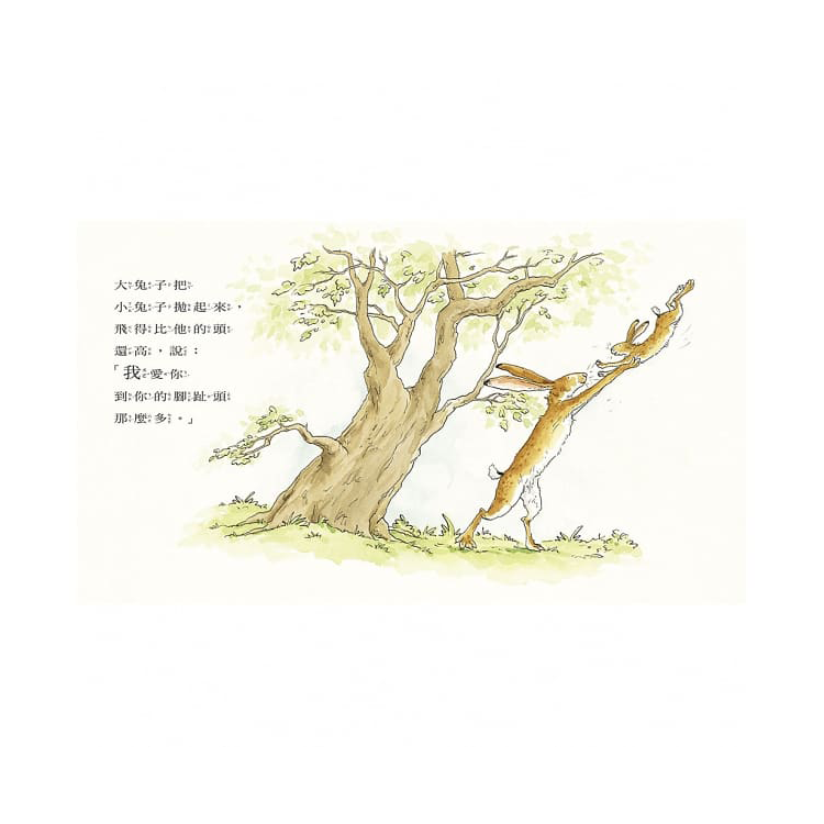 猜猜我有多愛你
