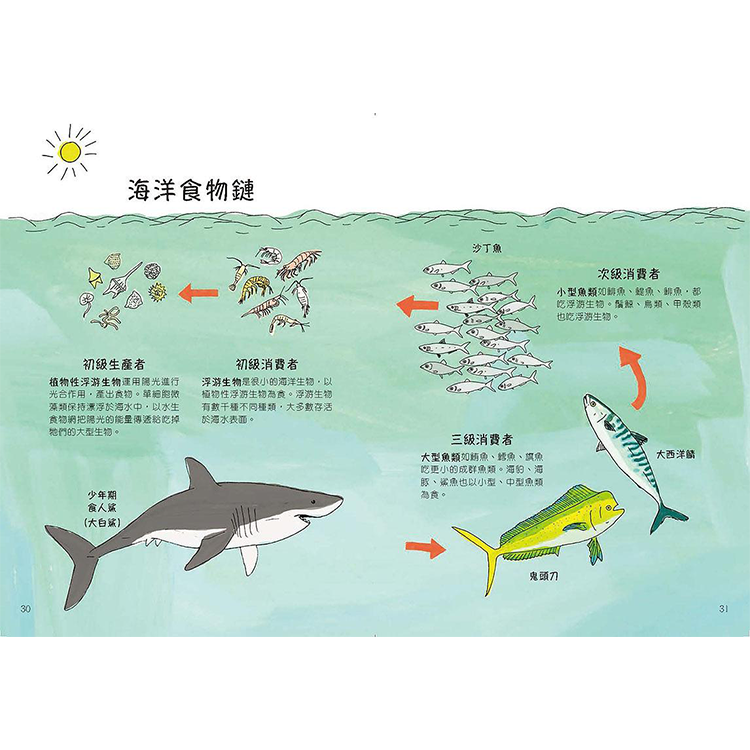 海洋解剖書：超過650幅海洋博物繪，帶你深入淺出，全方位探索洋流、地形、鯨豚等自然知識