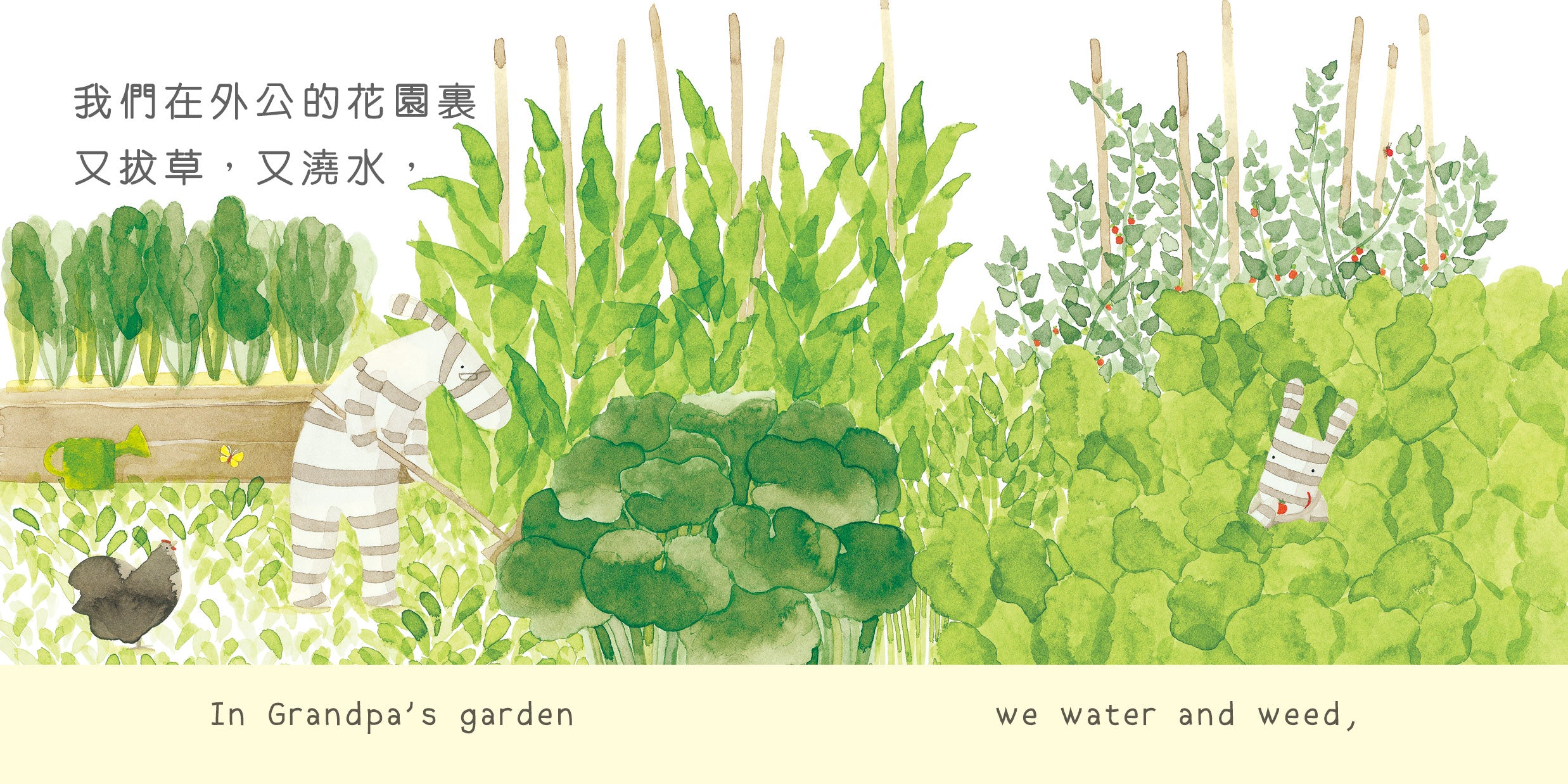 小斑馬雙語繪本：我喜歡外公