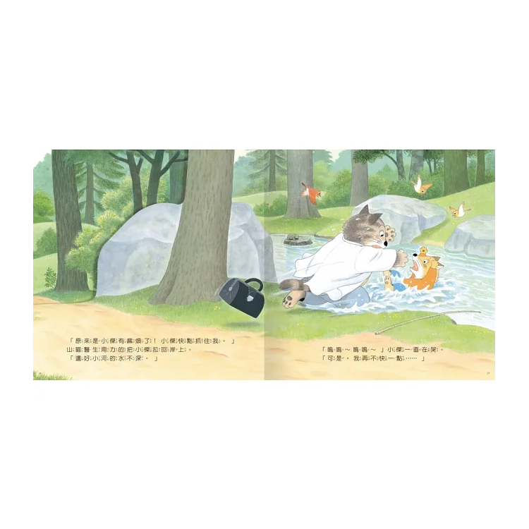 好忙好忙的山貓醫生