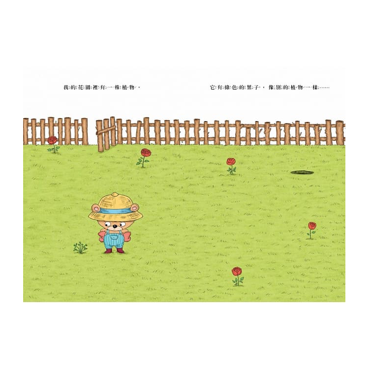 你為什麼不開花？