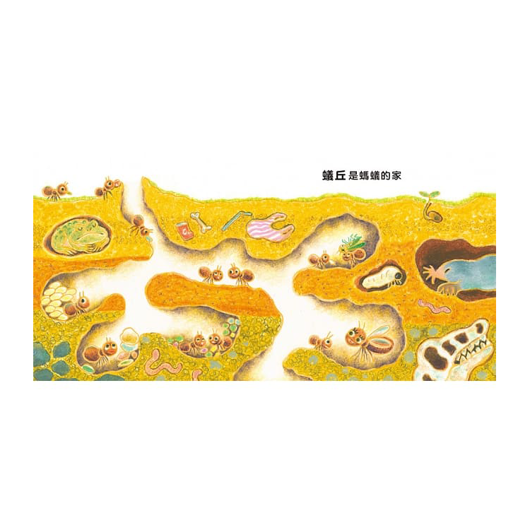 嗨！你家在哪裡？