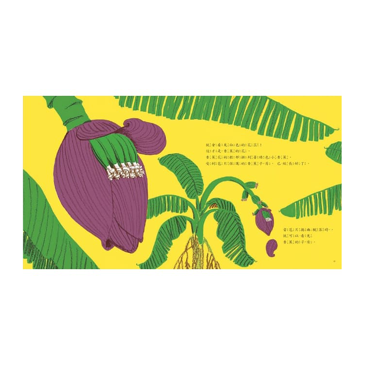 香蕉從哪裡來？(2020新版)