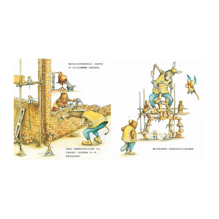 跟著動物建築師過一天
