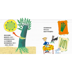 植物的祕密【觀察有趣的植物】