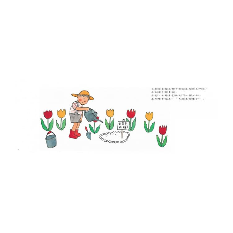 天空色的種子