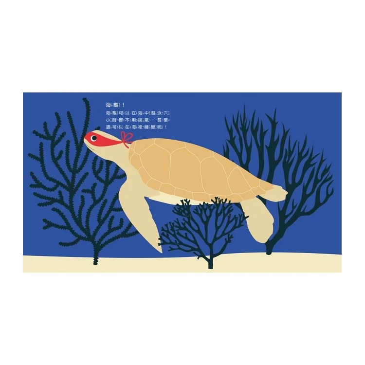 小兔子的超能力