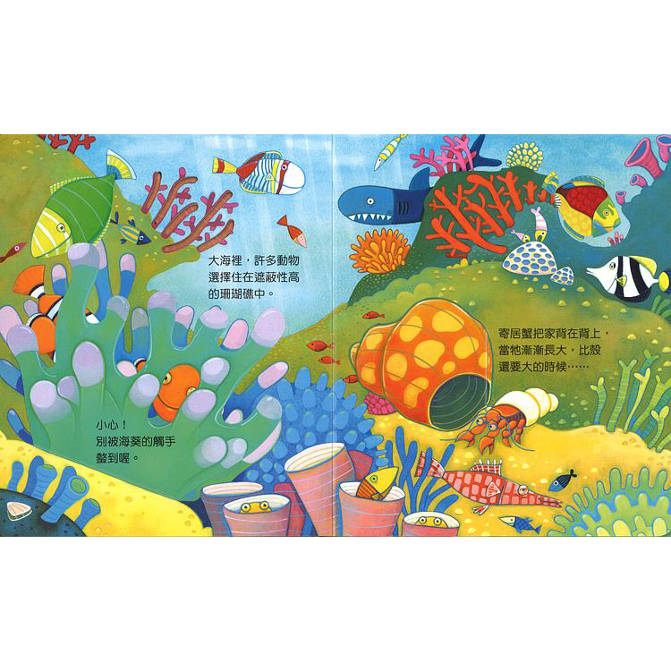 偷偷看一下：動物的家
