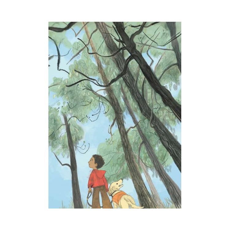 如果你想蓋樹屋 (絕版)