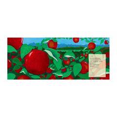 蘋果園的12個月