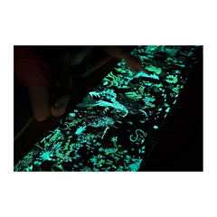 夜光找一找：不可思議的雨林大探索