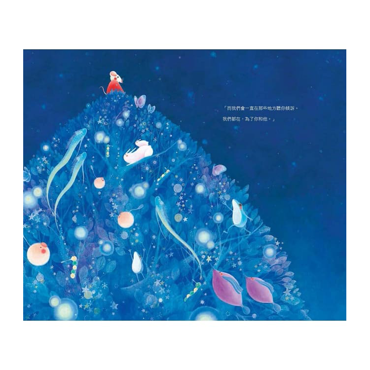 我的星星在哪裡?