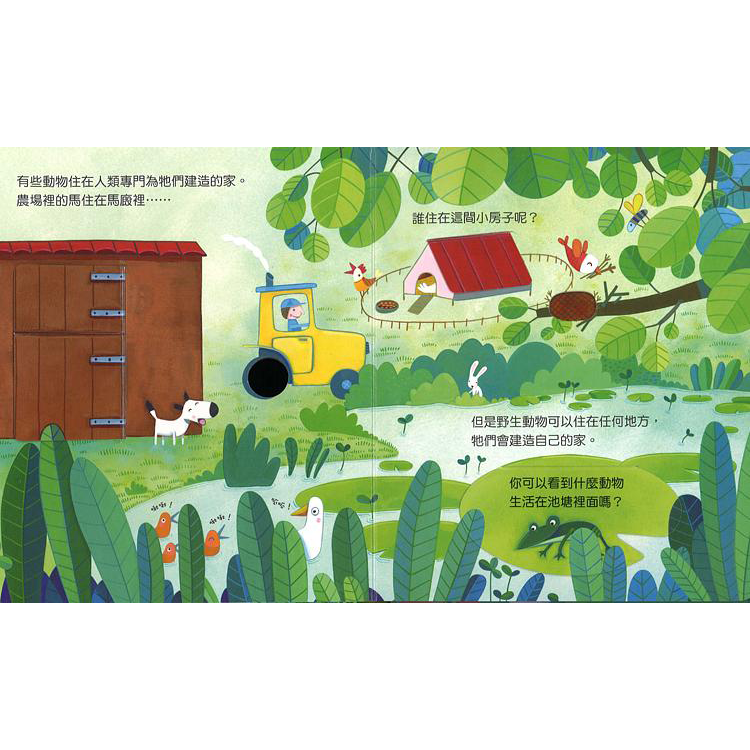 偷偷看一下：動物的家