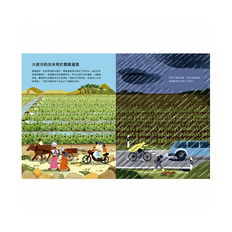 水到底有多重要? 關於全球正在面臨的缺水危機