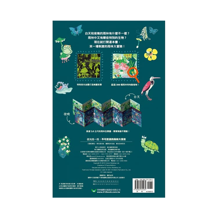 夜光找一找：不可思議的雨林大探索