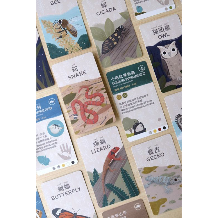 香港野生動物卡 Hong Kong Wildlife Cards