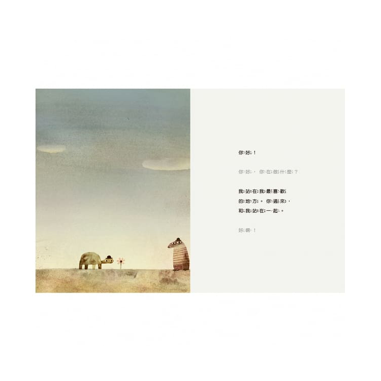 天上掉下來的石頭
