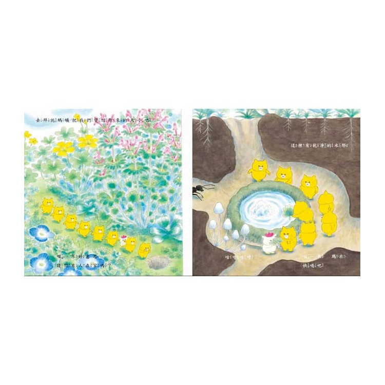 野貓軍團吃蛋糕