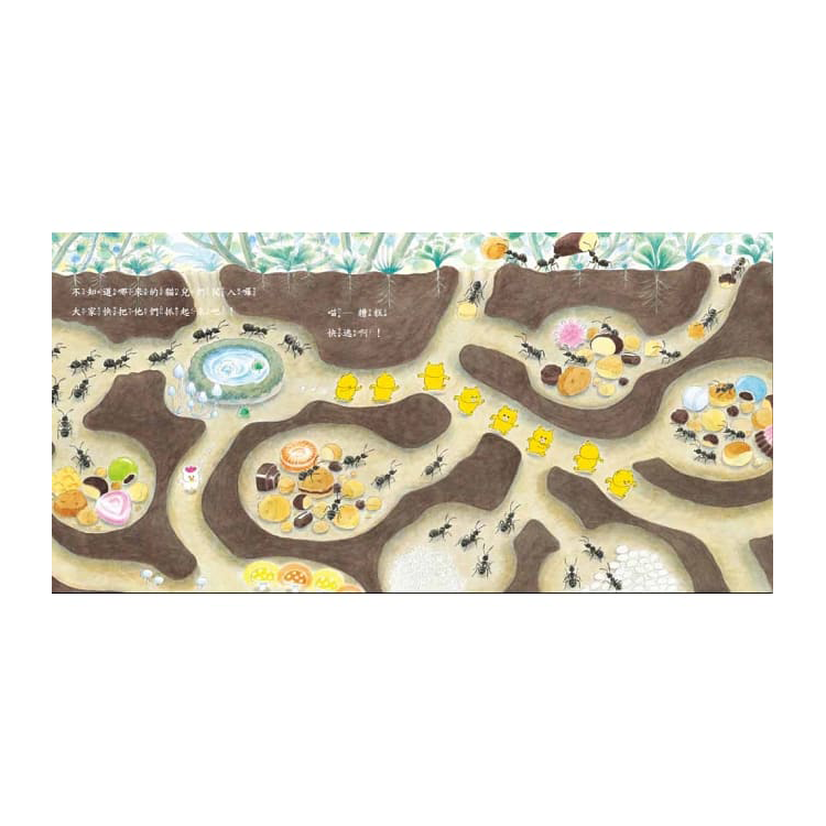 野貓軍團吃蛋糕