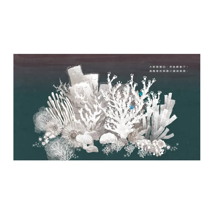 小珊瑚寶寶